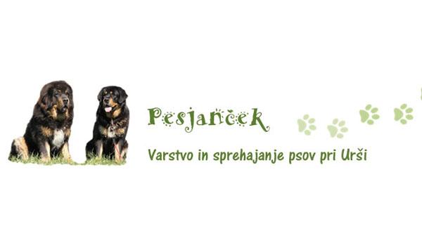 Pesjanček, varstvo in sprehajanje psov pri Urši